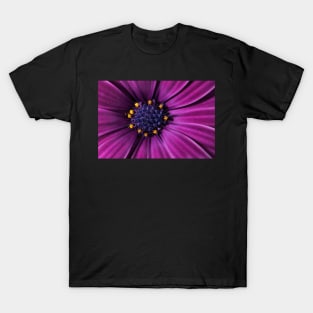 Cape Daisy T-Shirt